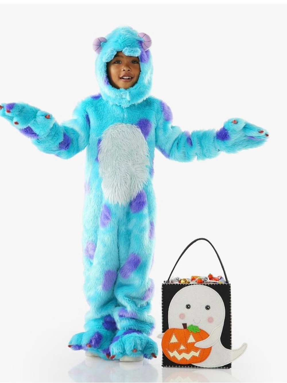 Pottery Barn Sulley Costume